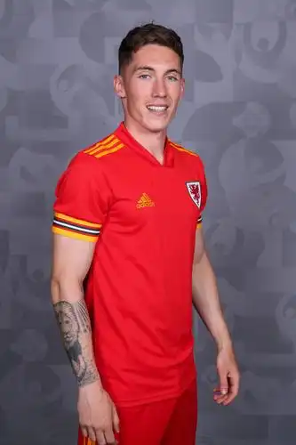 高清图:威尔士官方写真发布 贝尔拉姆塞信心满满