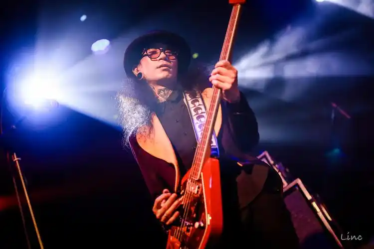 海龟先生全国巡演持续升温 热辣现场对抗深秋寒意