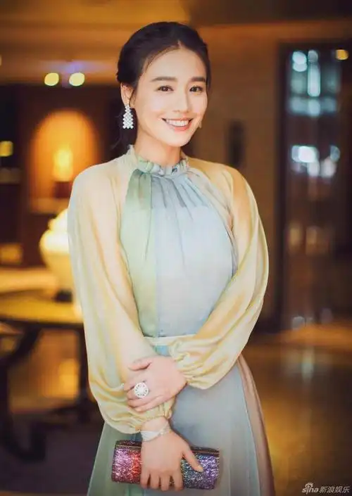 群星闪耀第53届台湾金马奖红毯