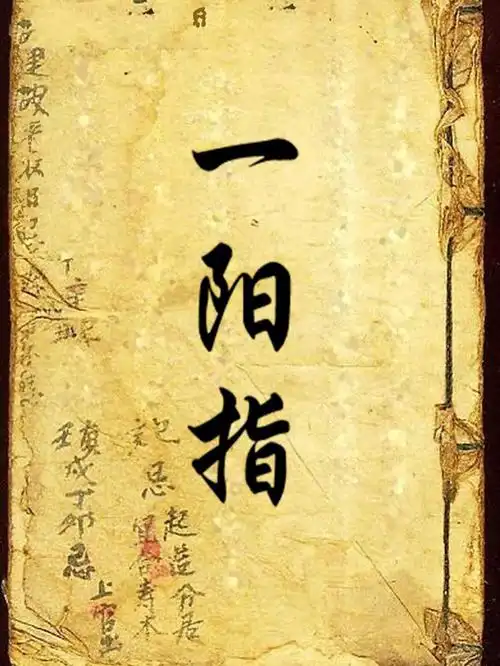 武功秘籍武当神功一阳指