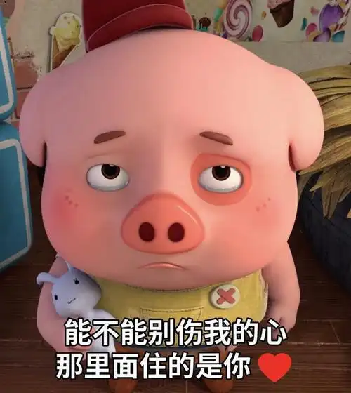 探探猫表情包:致我的粉丝:我的眼里心里都是你,满屏都是爱