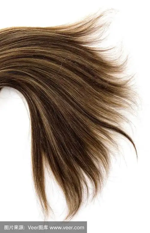 棕色头发,垂直画幅,美,褐色,挑染