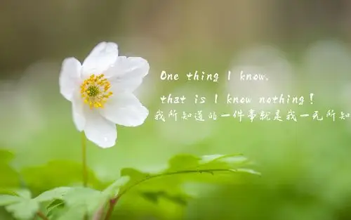 文字图片,高清壁纸,文字壁纸,励志英文文字高清桌面壁纸