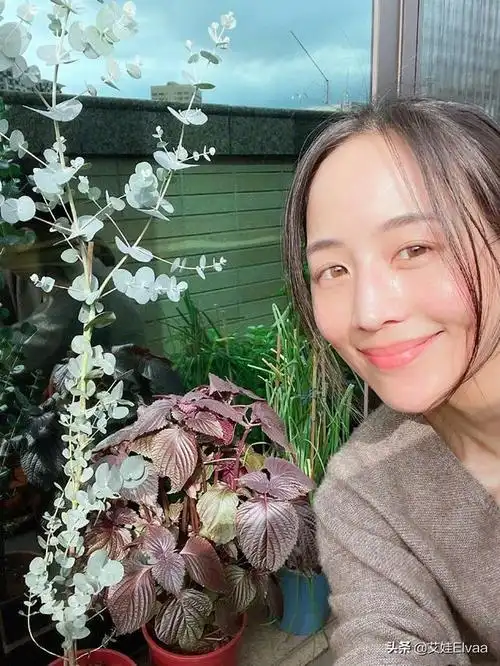 张钧甯晒生活近照穿毛衣长裤打扮朴素有精神头发凌乱肤色超白