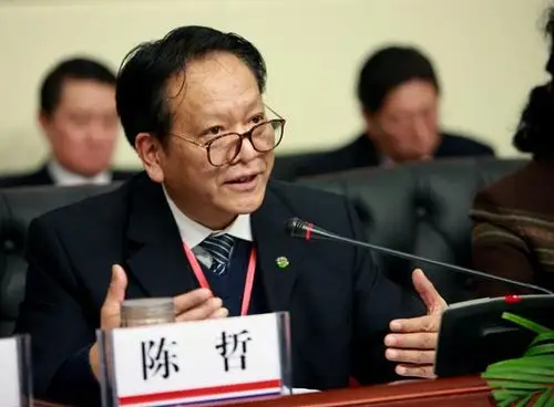 陈哲的论文论著