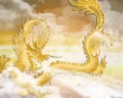 第一名是龙的祖先叫祖龙.