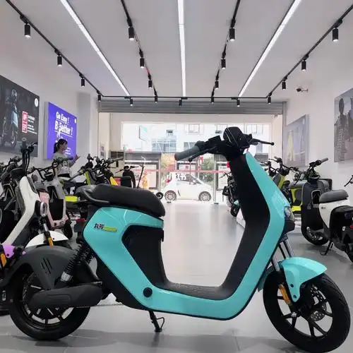 九号电动车2021新款c系