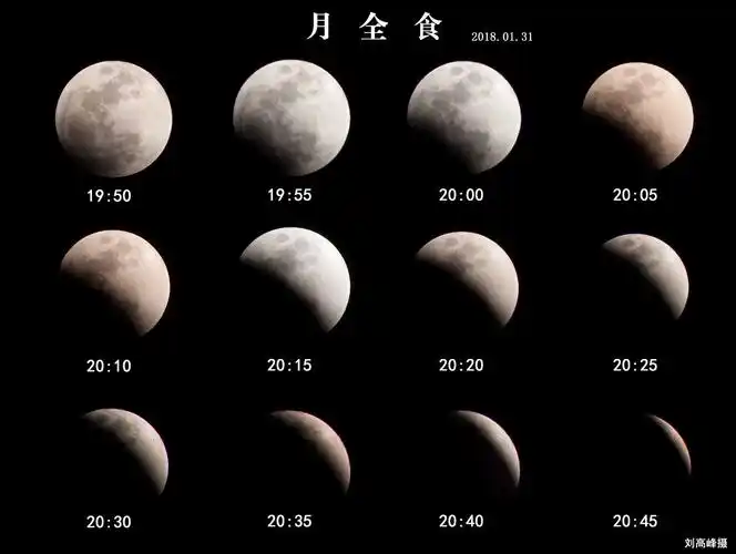 月全食 - 王东刘高峰