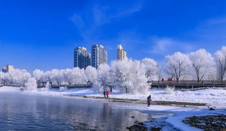 吉林市美丽江城一一冰雪篇之四,今年冬天冰雪雾凇分外美.感谢家乡勤劳