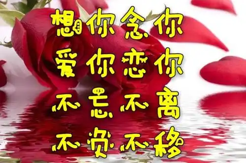 不论光阴老与不老,我的爱都将与你一生一世,形影不离!