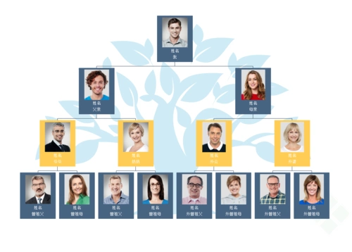 家庭树人物关系图怎么画一款简单易学的软件教你绘制