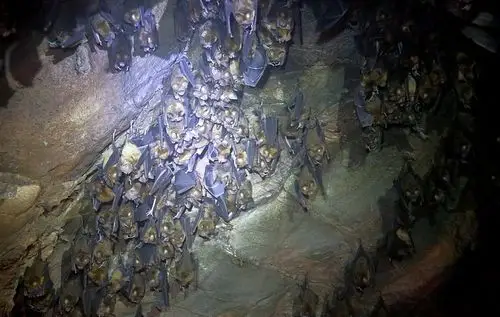 南阳市文化广电和旅游局|南阳市文广旅局