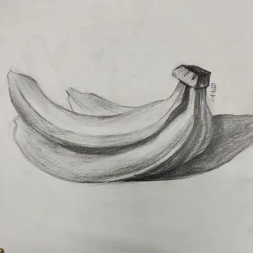 写美篇大家好,我叫陈奕心,现在正在读小学二年级,下面是我在向日葵