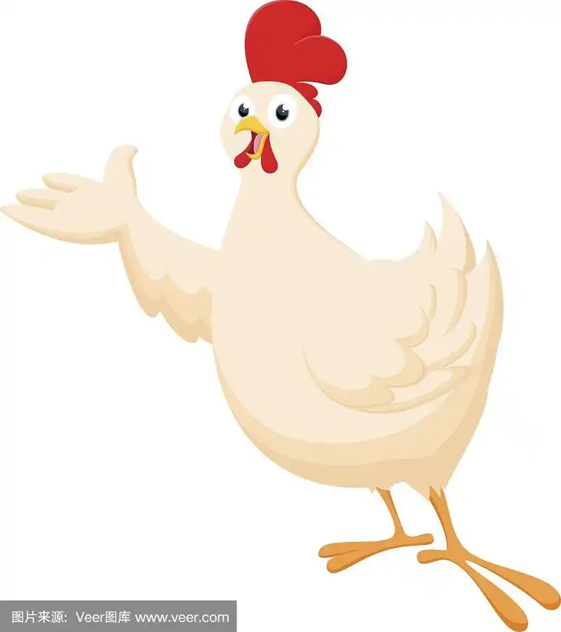 鸡卡通展示