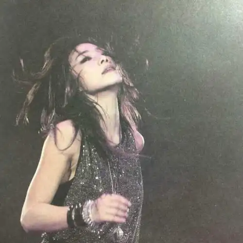 林忆莲2012年我是一片云自弹唱