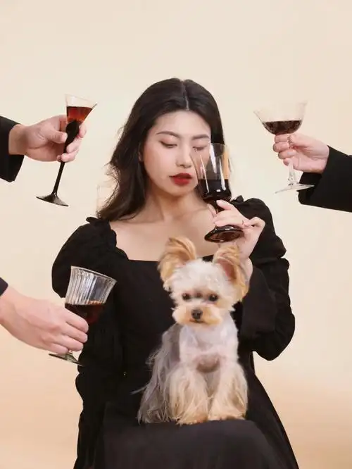 西西里美丽的传说仿拍为我们的友谊干杯