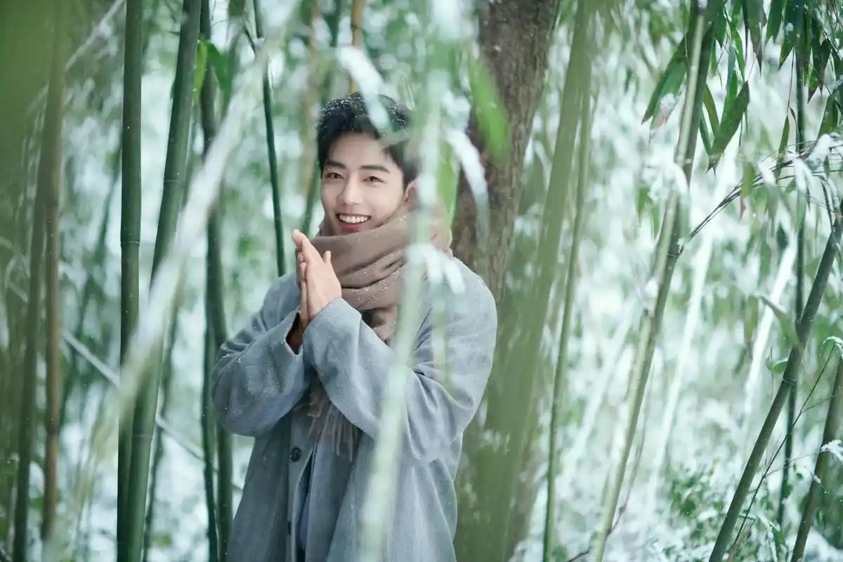 日常见肖战#肖战冬至竹林大片 笑的真甜! - 抖音