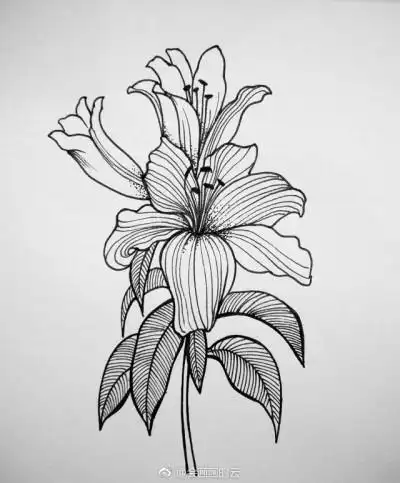 小燕子简笔画黑白画