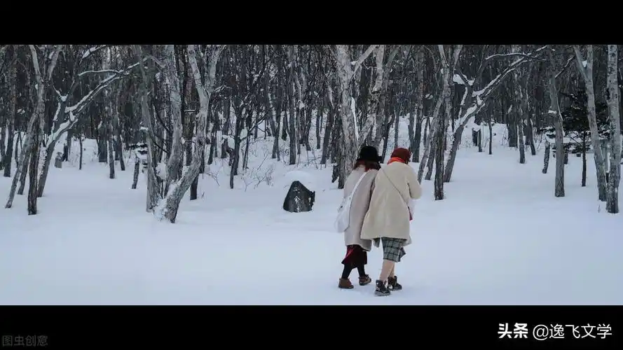 电影《情书》:封藏在时光深处的"情书"