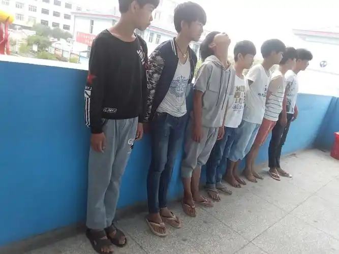 我的班级我的事