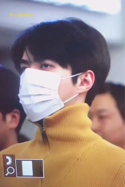 吴世勋:) 姜黄高领口罩小勋