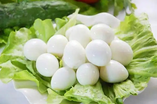 鹌鹑蛋的功效和营养价值