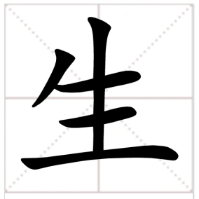 生在田字格的正确写法