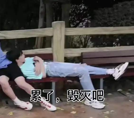 tf家族三代表情包