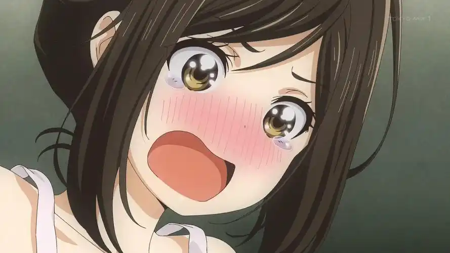 动画制作公司tear studio 正式宣告破产