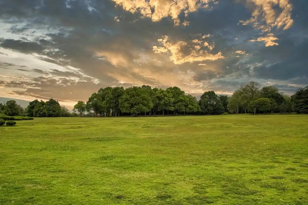 摄影爱好者.秋日风光#风景在路上 #摄影分享 #发现身边美好 - 抖音