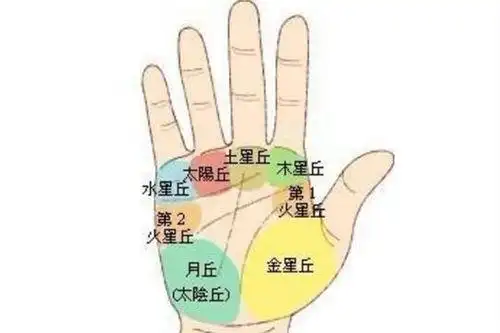 月丘在哪个位置