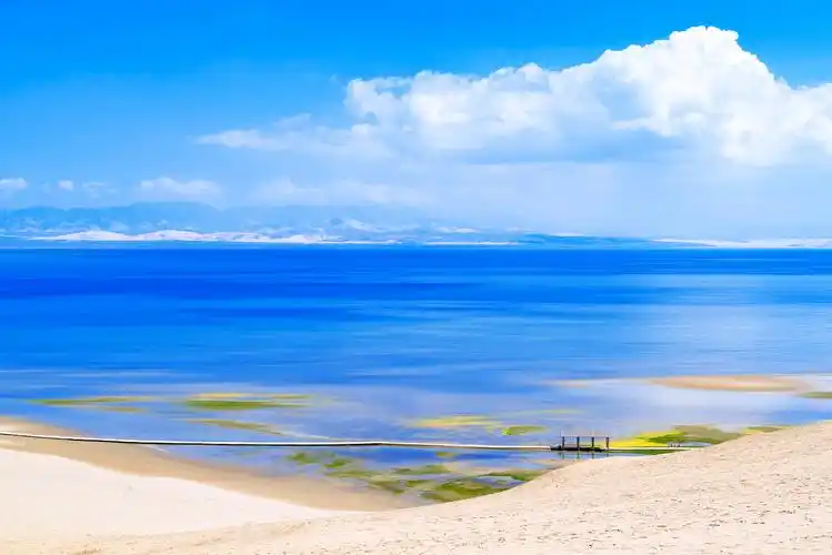 蓝天白云下的青海省青海湖沙洲风景中国青海省青海湖沙洲上的白垩.