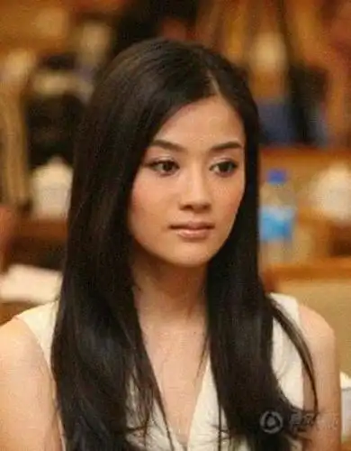 四川阆中毕业院校:重庆大学美视电影学院主要作品:《疯狂的石头》