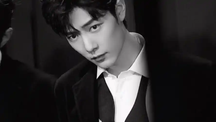 肖战黑白风太可了