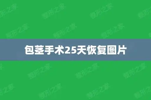 包茎手术25天恢复图片