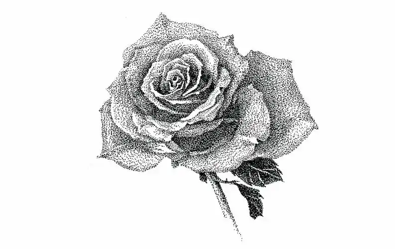 原创手绘黑白点画