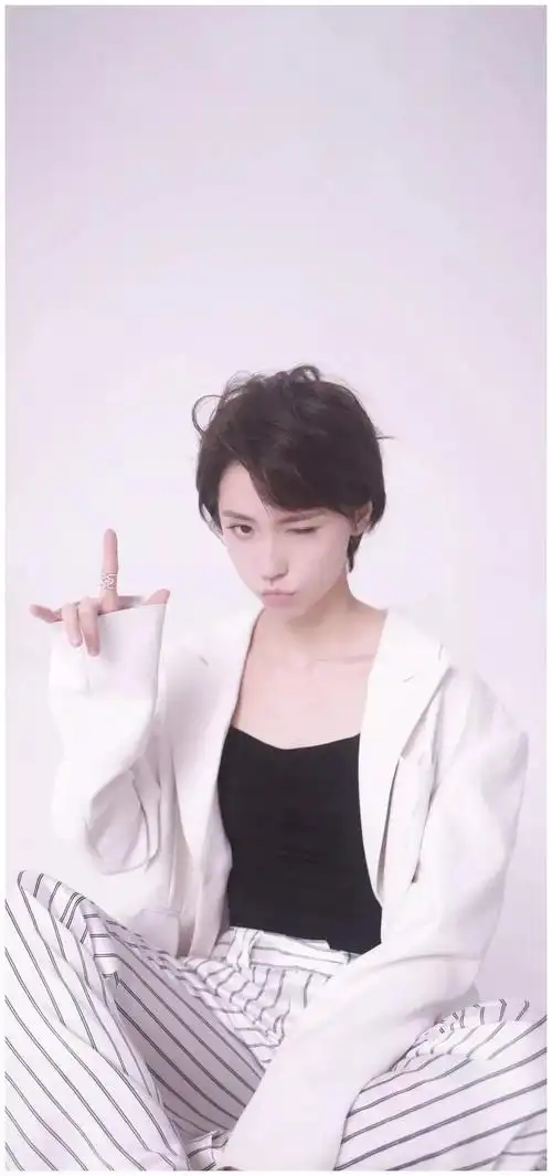 明星壁纸|成果(诸葛大力)