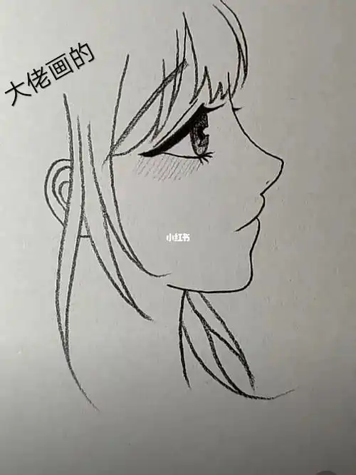 侧脸画
