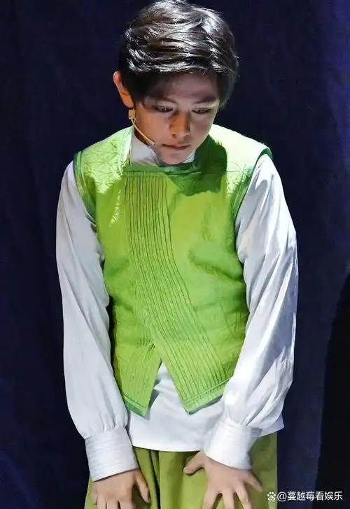 刘烨法国妻子近照太苍老白发明显像老太太儿女气质酷似流浪汉