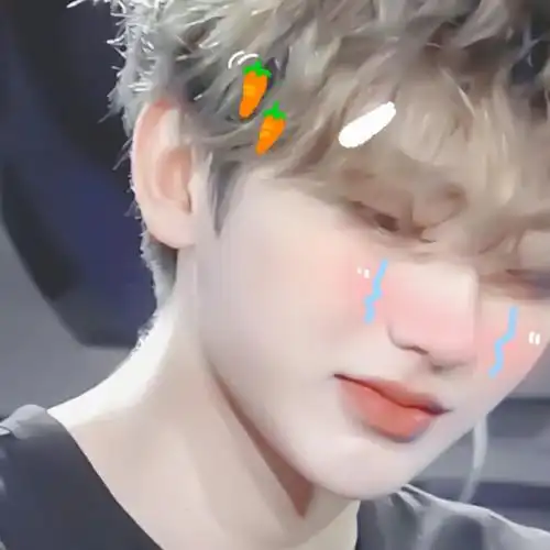 关注   "小葵睡不醒" 蔡徐坤头像 评论 收藏