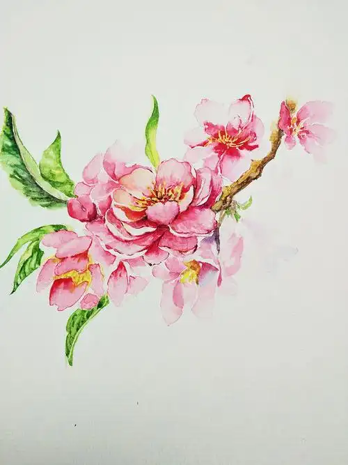 水彩桃花