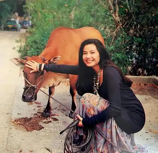 这才是美艳型美女年轻时的钟楚红太惊艳穿衣风情尽显女人味