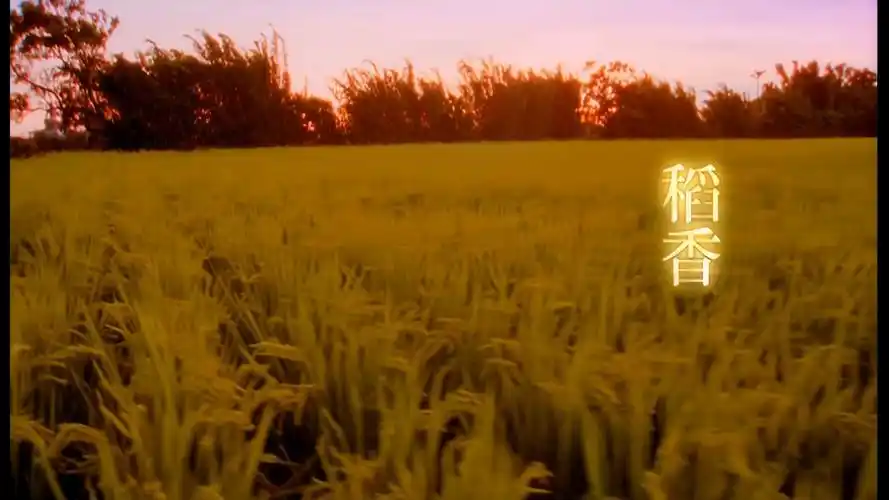 周杰伦 - 稻香【karaoke型 和声伴奏】