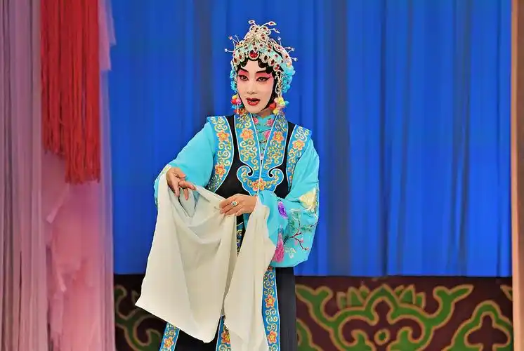 像音像剧目《梁红玉》(周利)图片