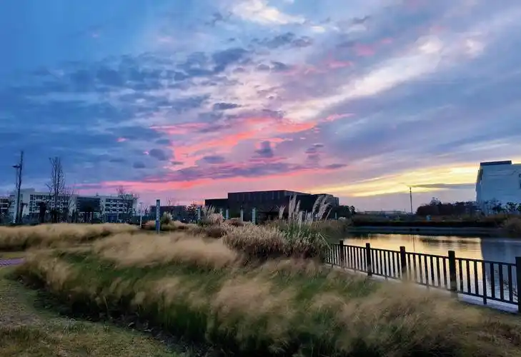 南通大学杏林学院新学期开学啦