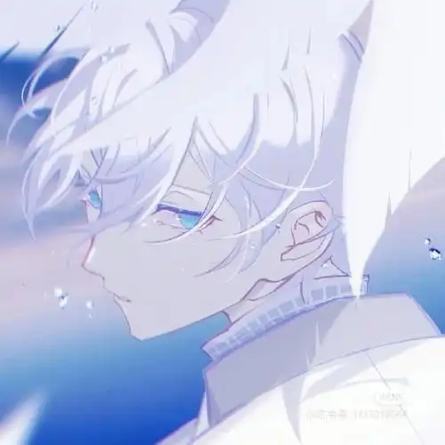 二次元的小白毛