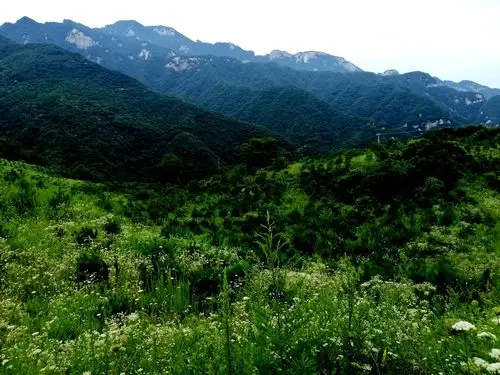 流峪寺草甸一日游