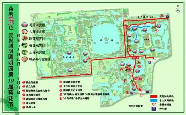 北京圆明园看荷观史一日游