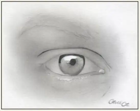 女性的眼睛铅笔画