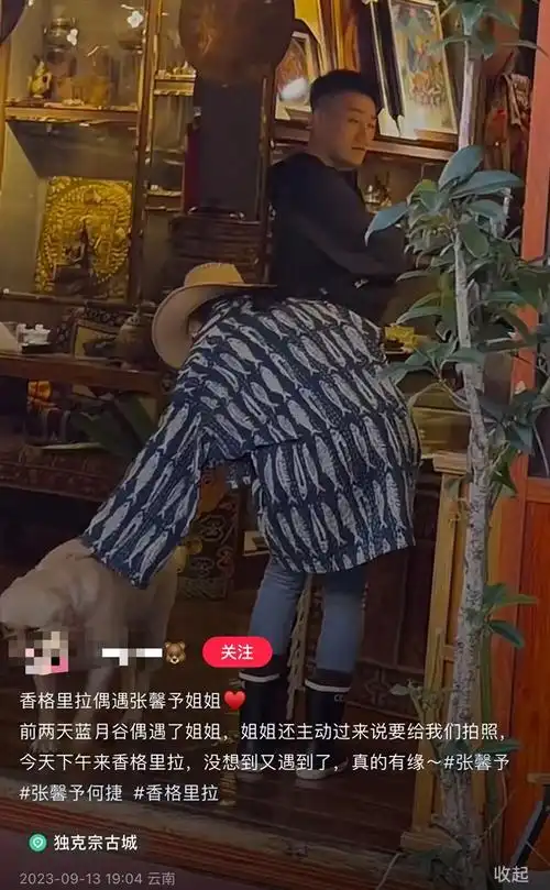 张馨予生宝宝了吗张馨予何捷甜蜜出游